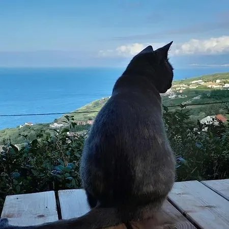 Holiday home A Toca Do Lince Ii Bretanha