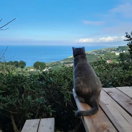 A Toca Do Lince Ii